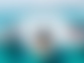 Conéctate con el Mar: Únete a la Comunidad Exclusiva de Navegaré