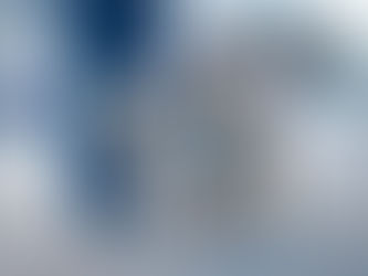 Can I Walk My Dog During A Pandemic? Addressing U.S. Coronavirus Concerns