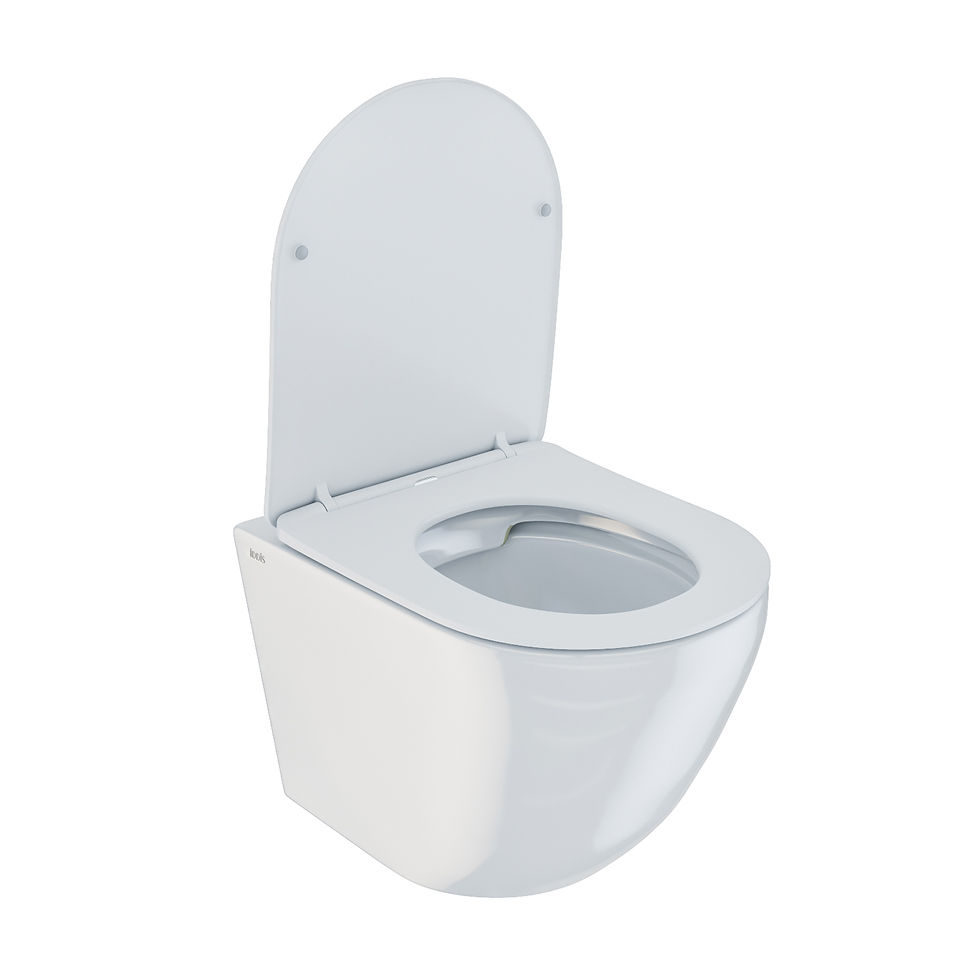 Миниатюра: Унитаз подвесной безободковый, Blanco, IDDIS, BLARDSEi25