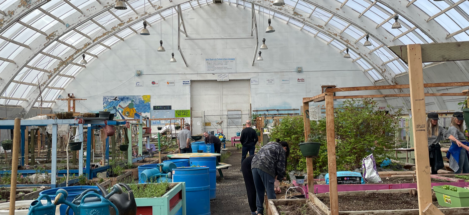 Inuvik Greenhouse is shown with lots of garden boxes covering the floor