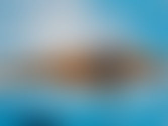 Michael Phelps swimming