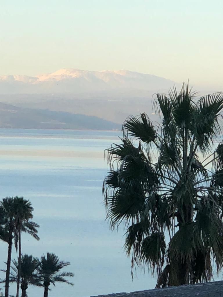 Tiberias View