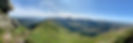 IMG_5906.jpeg