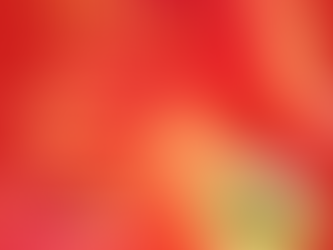 Did You Say “FIREHORSE”..?!🔥