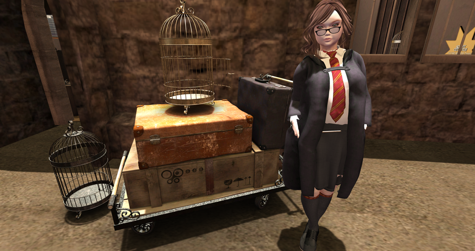 Mischief Managed Back Story