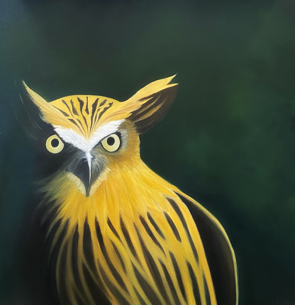 'Forrest Creatures - Owl'