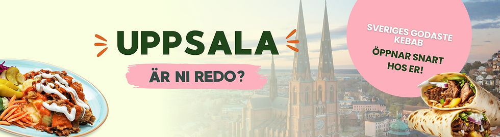 uppsala-banner.jpg
