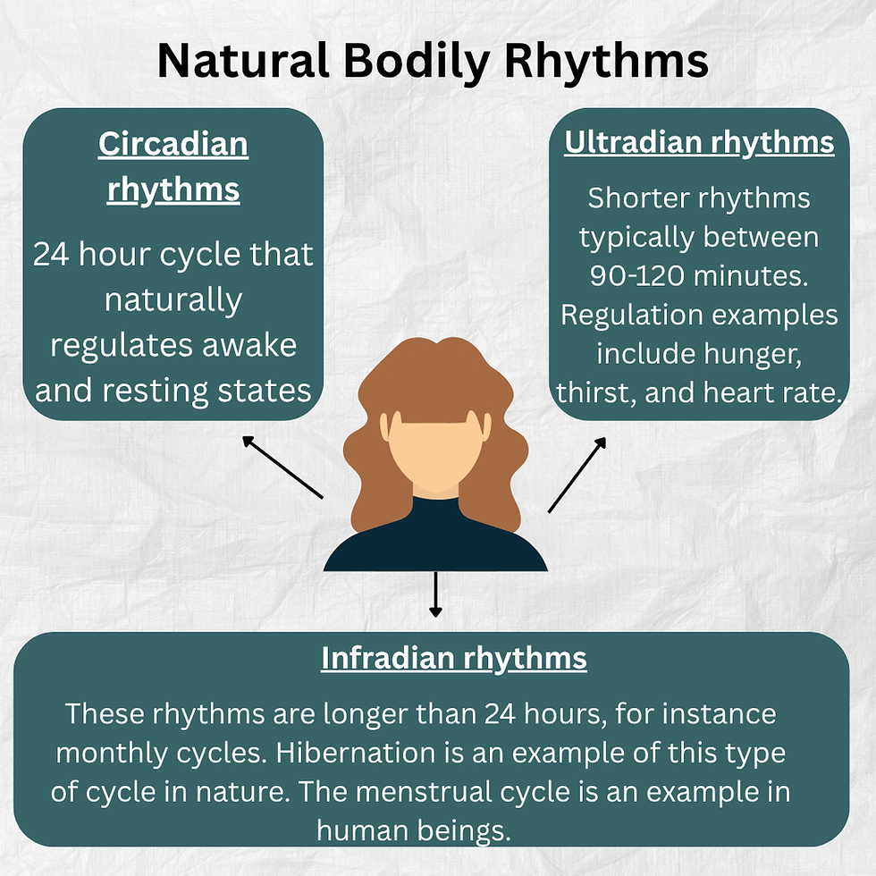 Diagram of natural bodily rhythms features a person icon, with text boxes on circadian, ultradian, and infradian rhythms, on textured background.