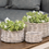 Thumbnail: 3/Set, Graywashed Willow Planters