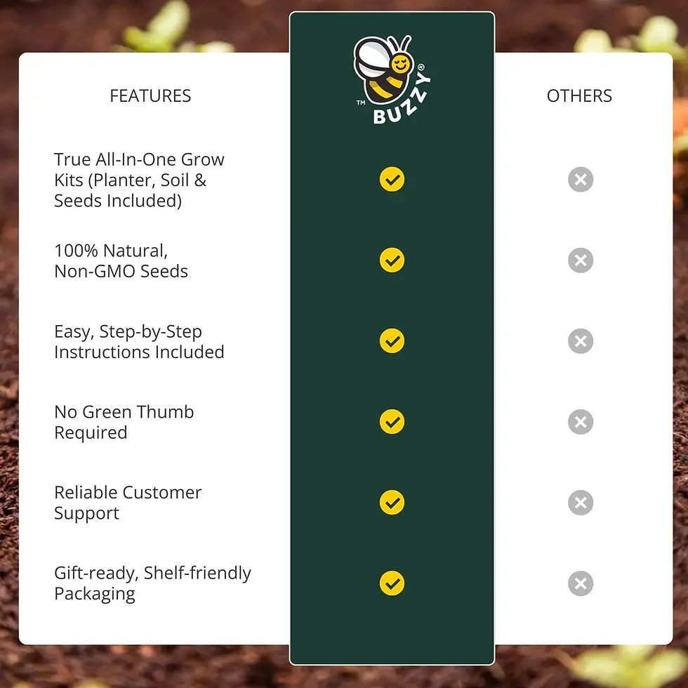 Thumbnail: Dear Teacher Seed Bomb Box