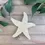 Thumbnail: Rustic Wood Starfish - Beach Shelf Sitter