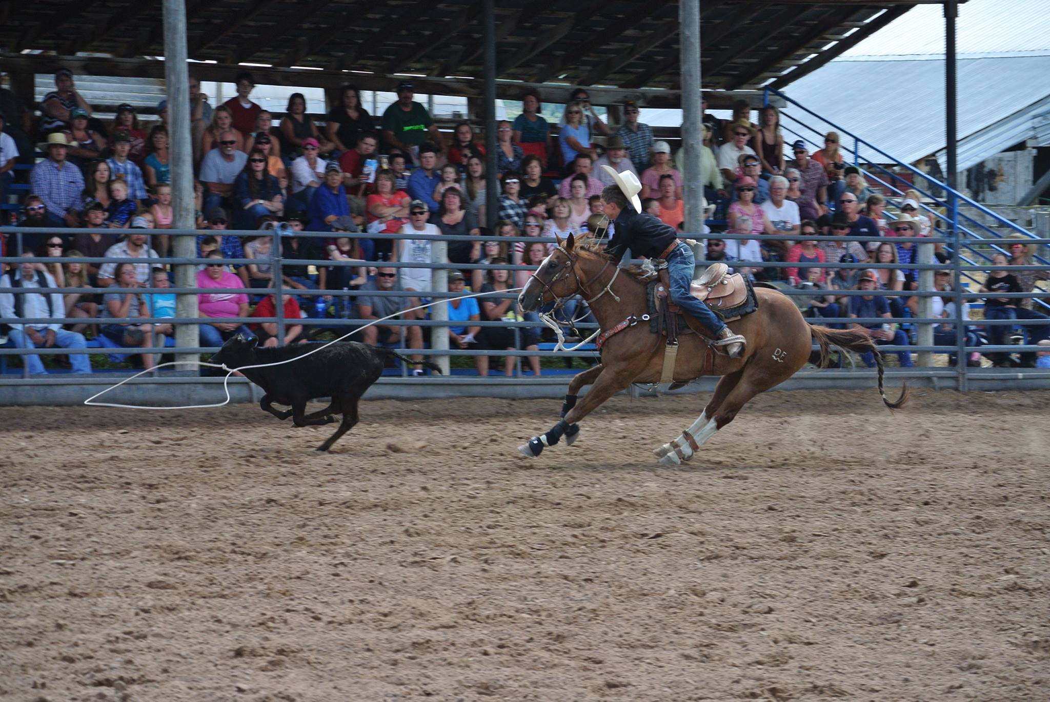 Caribou County Fair