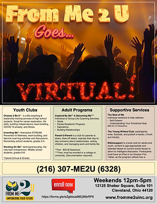 Virtual Programs.jpeg