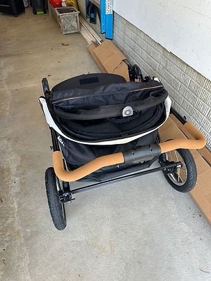 Pet Gear Stroller AT3