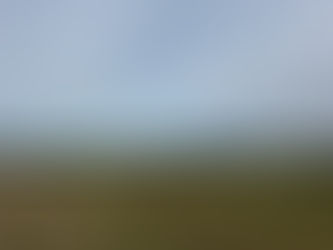 Dalla Nebbia alla Gloria: La Rivincita di Trieste sul Clima!