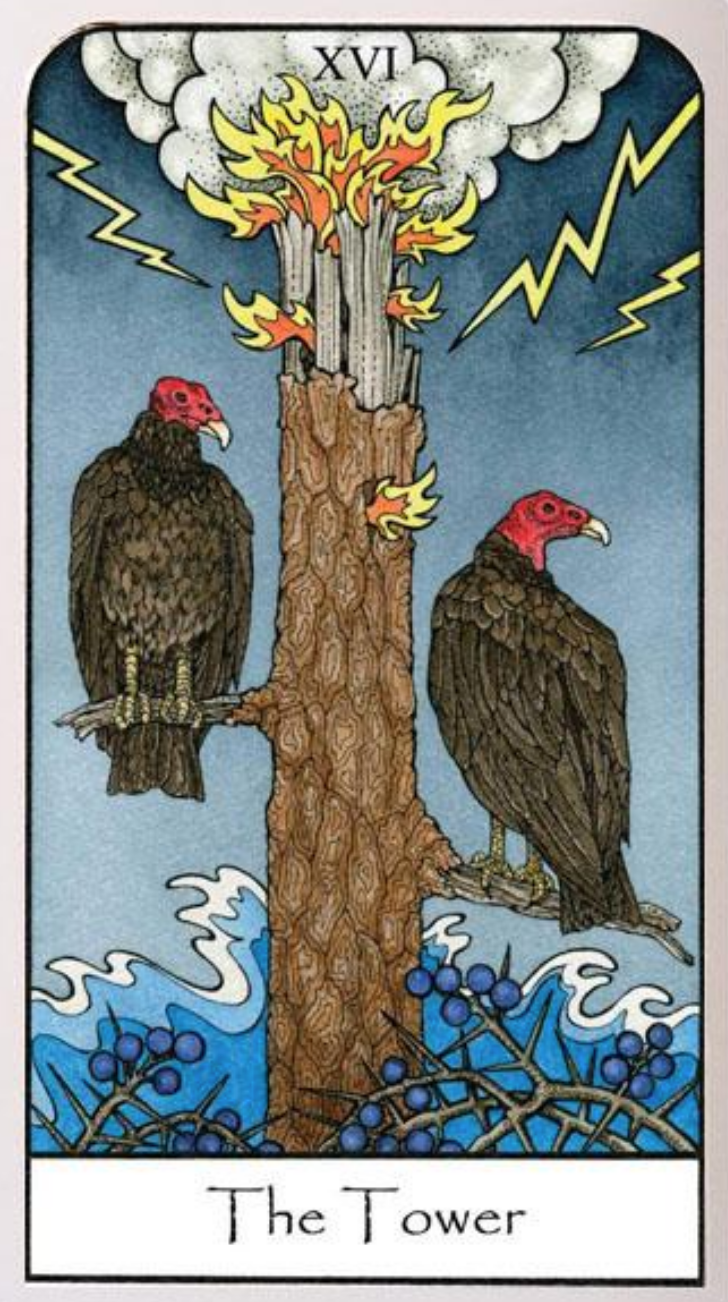 Thumbnail: Nature Spirit Tarot: 78-Card Deck & Guidebook