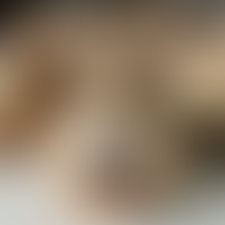 Gluten Free Blueberry Crumble Muffins