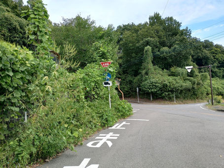 津古久峠_草刈り