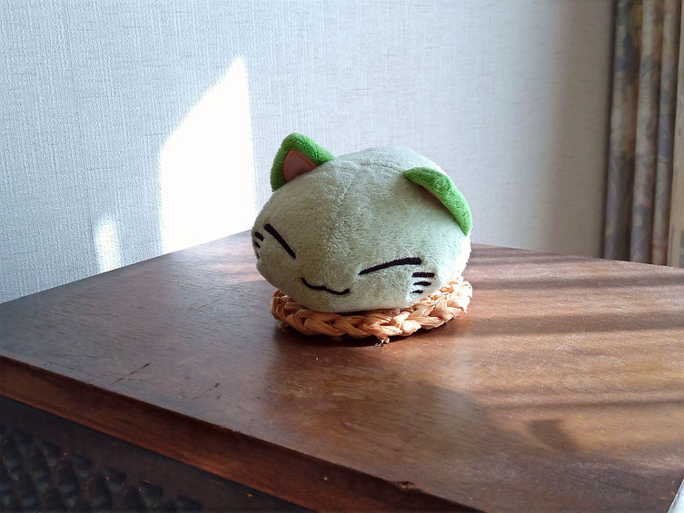 6 愛知県一宮市:一宮カイロプラクティックセンターの一柳実先生「痛みは消えても、筋肉や骨や関節にダメージは残っているので、そこを修復しないと本来の力は出せないから」_edited.