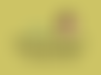 30 שנה אחרי אליס מילר:למרות תמיכת הציבור - רמטכ"לית עדיין לא נראית באופק