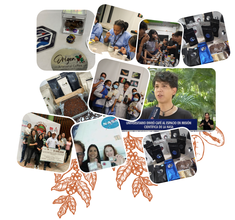 What is Orion's Blog about?