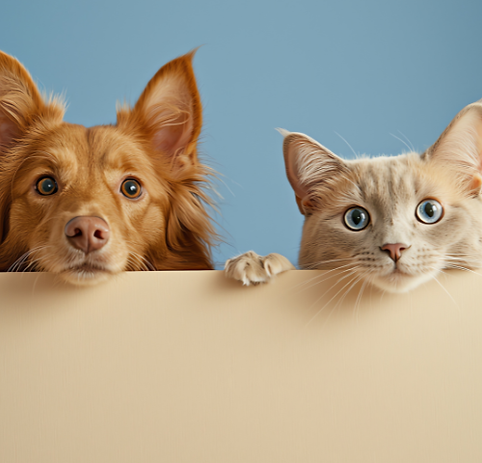 Logotipo Criativo Para Eventos Azul e Branco - 2025-10-07T171729.695.png