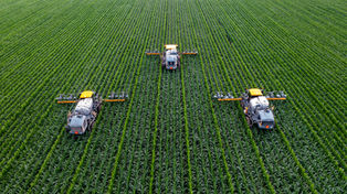 Como se Tornar um Agricultor de Sucesso
