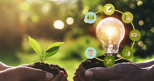 Educação Ambiental Crítica e Práticas Agrícolas Sustentáveis: Caminhos para um futuro verde.