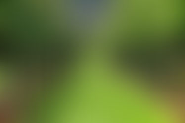 Adubação Verde: prática sustentável!