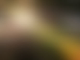 Linking the Physical with the Experiential and the Existential