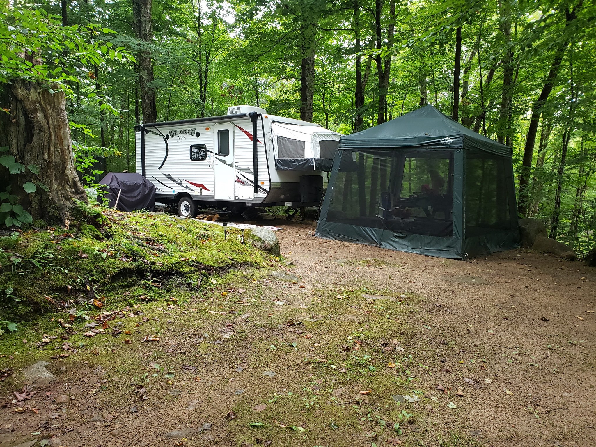 Site 415 Y/R