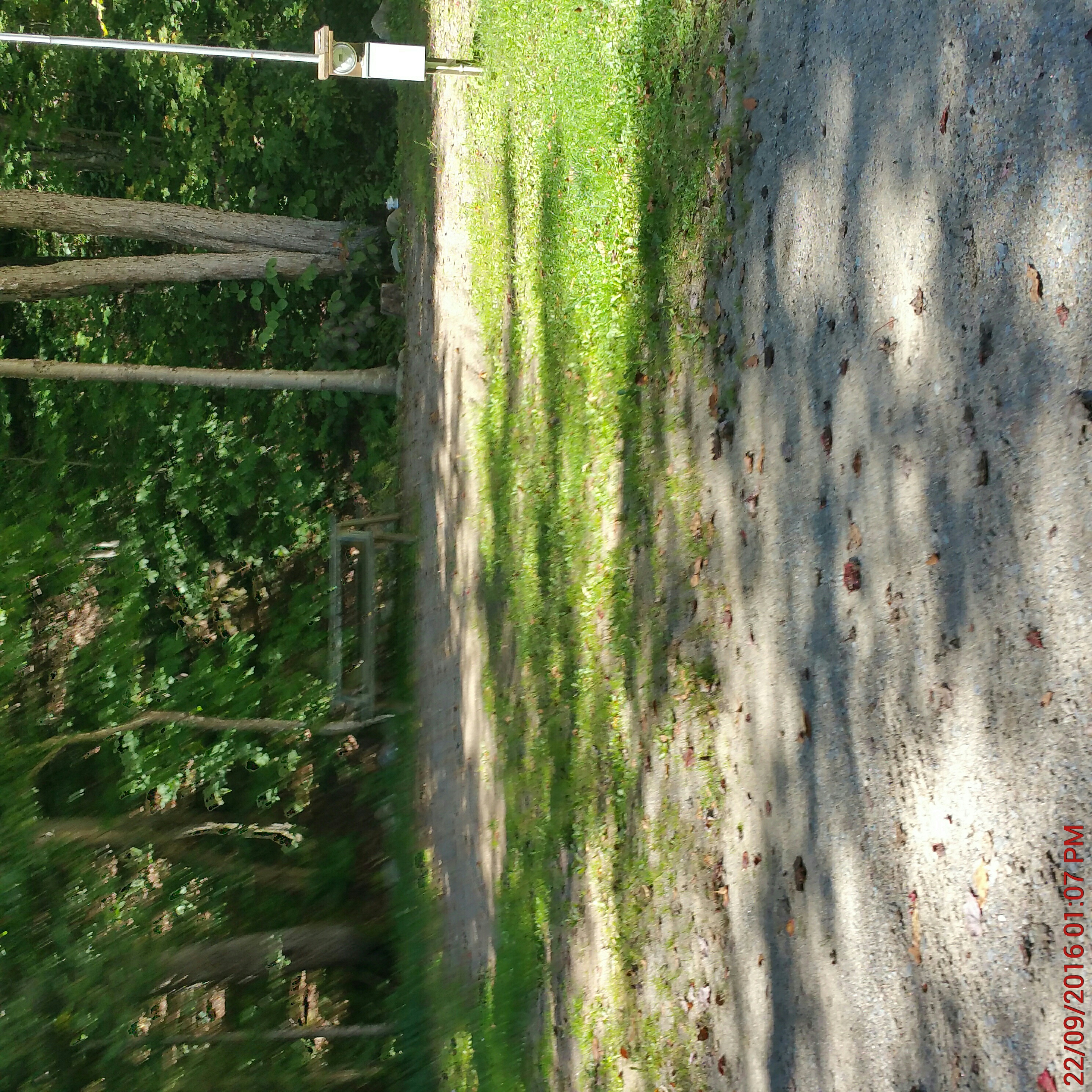 Site 312-314 Y/R