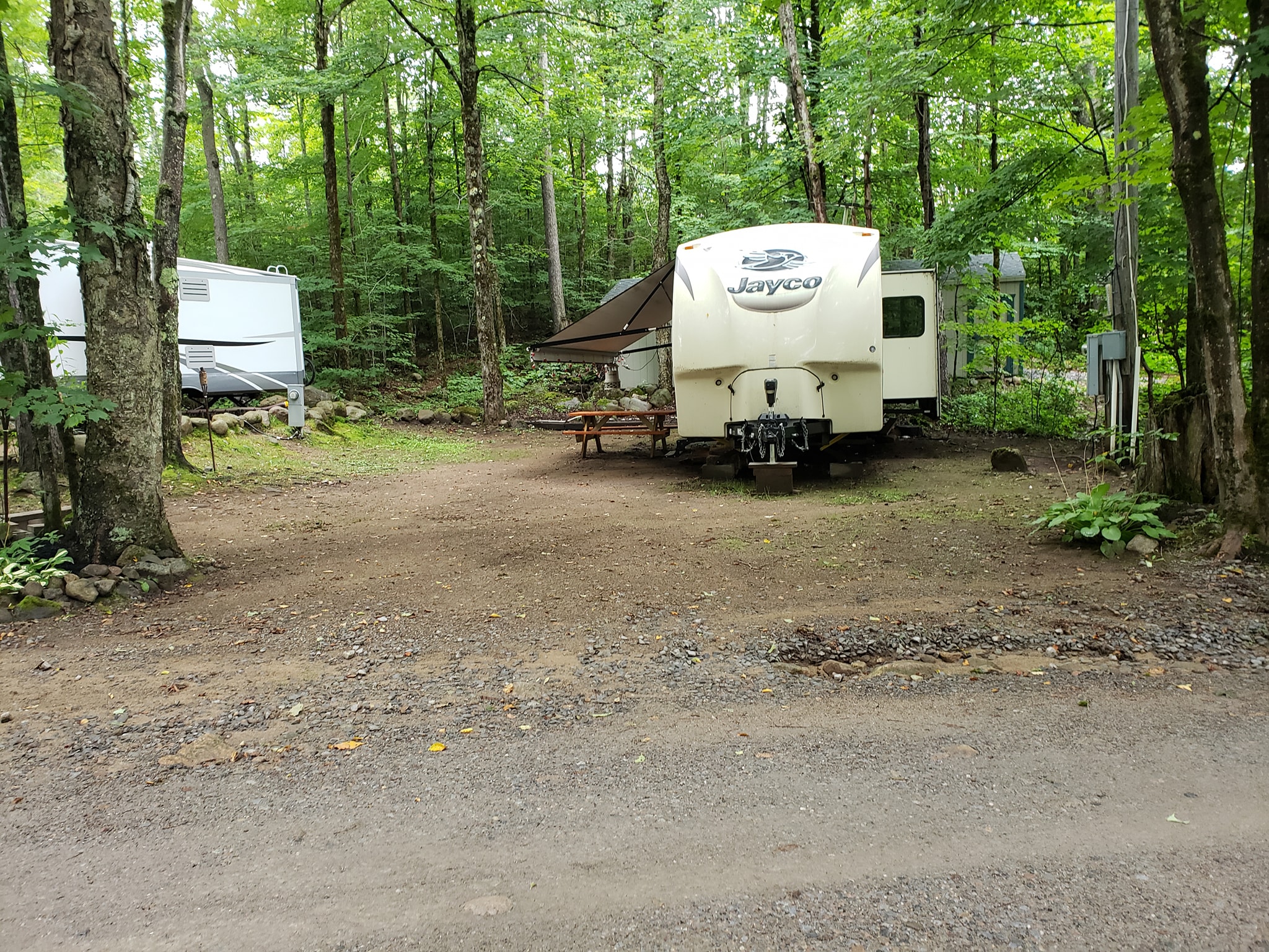 Site 233 Y/R
