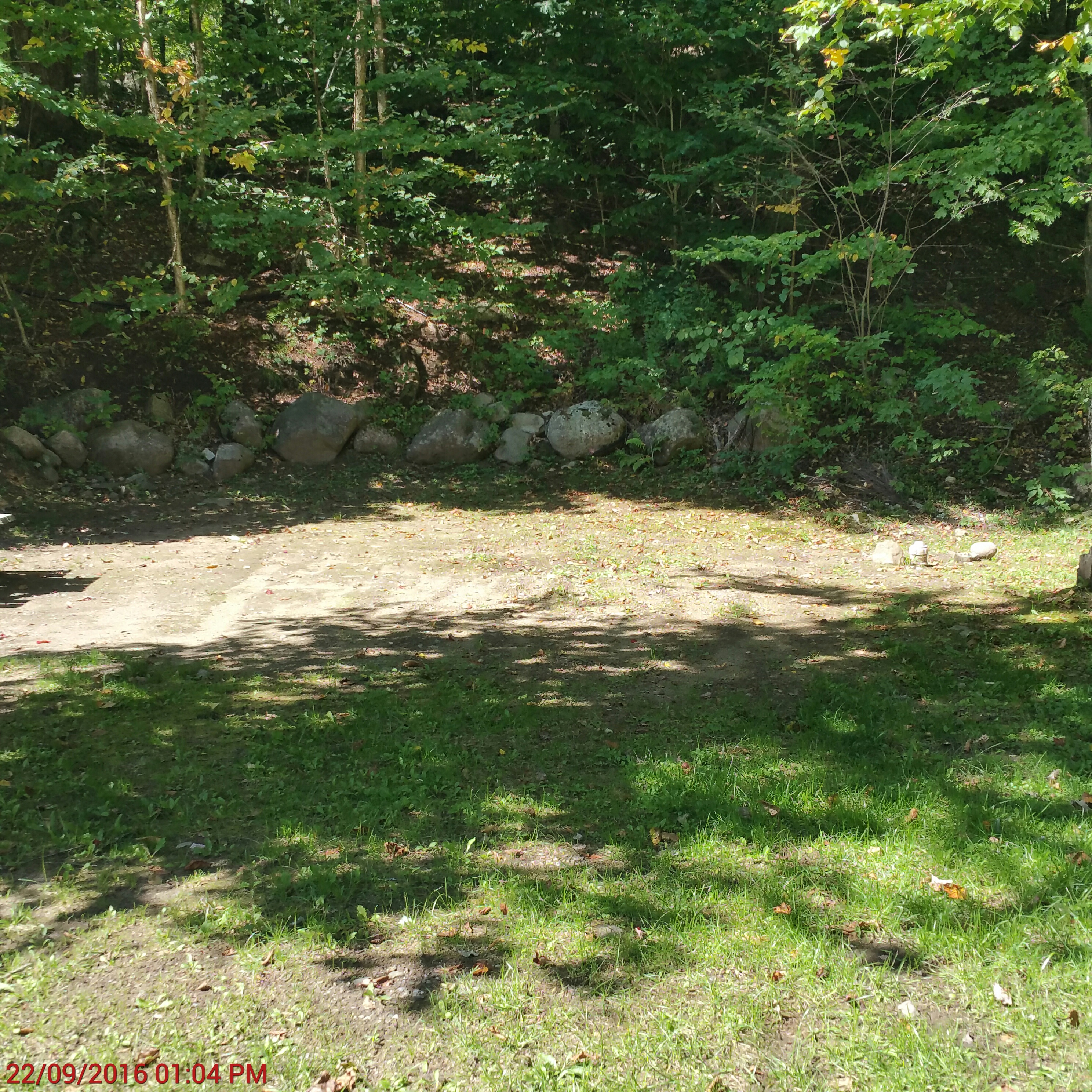 Site 312-314 Y/R