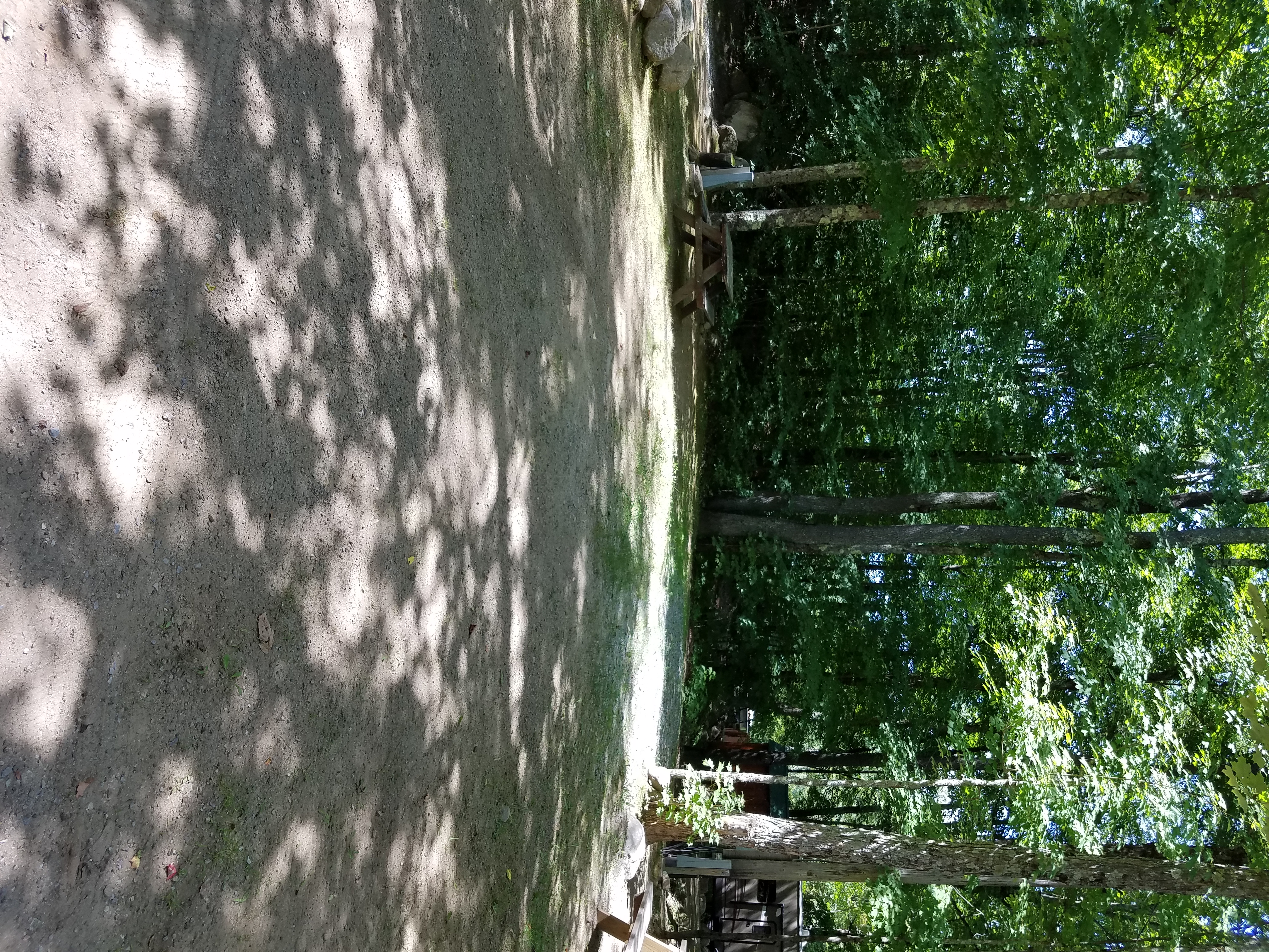 Site 225 Y/R