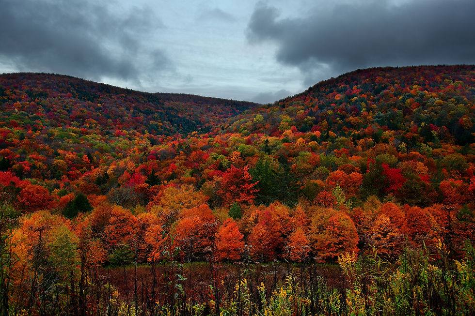 WV-autumn-mountain-foliage.jpg