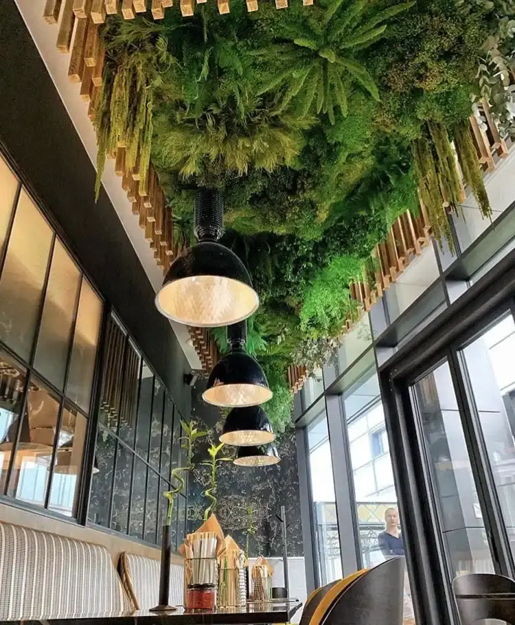 dikey bahçe,yapay dikey bahçe,dikey bahçe malzemeleri,yapay dikey bahçe malzemeleri,dikey bahçe uygulamaları,yapay dikey bahçe uygulamaları,dikey bahçe sistemleri,yapay dikey bahçe sistemleri, dikey bahçe paneli,yapay dikey bahçe paneli,dikey bahçe dekoru,yapay dikey bahçe dekoru,dikey bahçe örnekleri