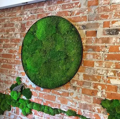 izmir yapay yosun duvar kaplama