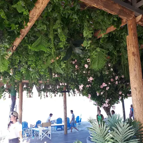 izmir yapay dikey bahçe uygulamaları