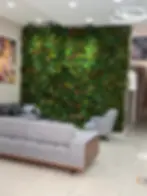 izmir yapay dikey bahçe,izmir yapay dikey bahçe malzemeleri,izmir yapay dikey bahçe uygulamaları,izmir yapay dikey bahçe sistemleri,izmir yapay dikey bahçe paneli,izmir yapay dikey bahçe dekoru,izmir yapay dikey bahçe örnekleri