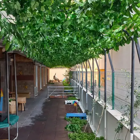 yapay dikey bahçe uygulamaları