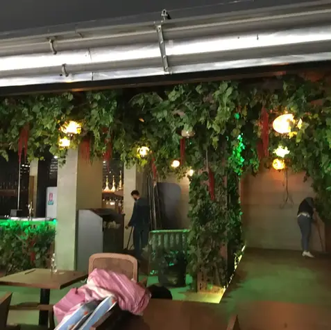 izmir yapay dikey bahçe uygulamaları