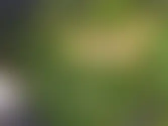 dikey bahçe,yapay dikey bahçe,dikey bahçe malzemeleri,yapay dikey bahçe malzemeleri