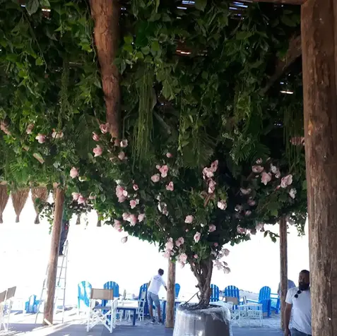 yapay dikey bahçe uygulamaları