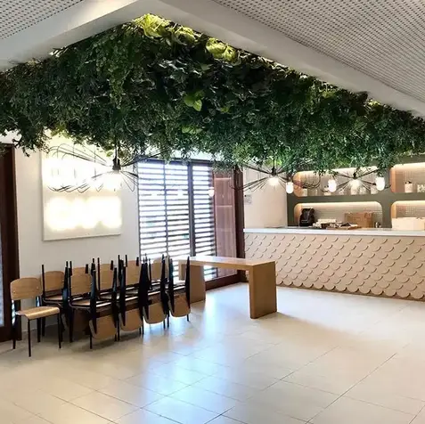 yapay dikey bahçe uygulamaları