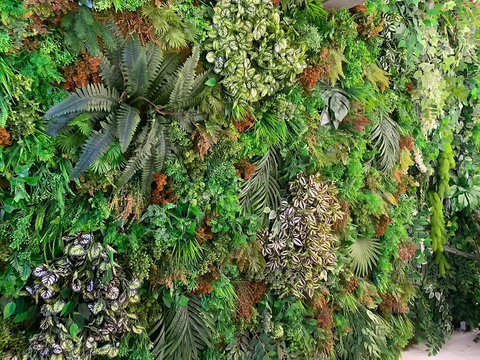 dikey bahçe,yapay dikey bahçe,dikey bahçe malzemeleri,yapay dikey bahçe malzemeleri,dikey bahçe uygulamaları,yapay dikey bahçe uygulamaları,dikey bahçe sistemleri,yapay dikey bahçe sistemleri, dikey bahçe paneli,yapay dikey bahçe paneli,dikey bahçe dekoru,yapay dikey bahçe dekoru,dikey bahçe örnekleri