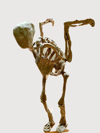 standing human-bird skeleton with wings extending behind and head protruding forward