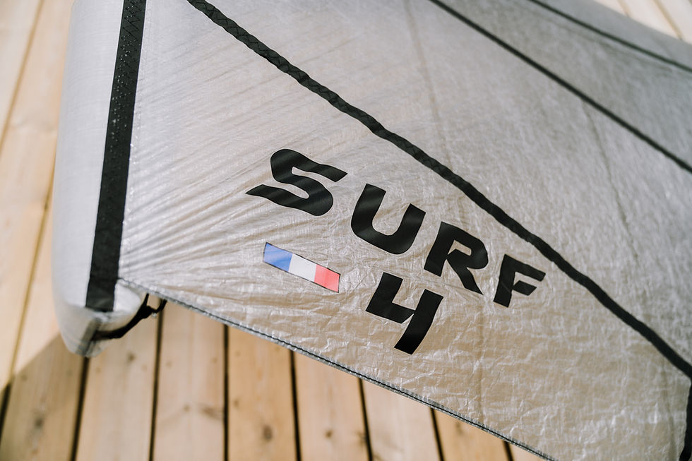 Miniature : La SURF