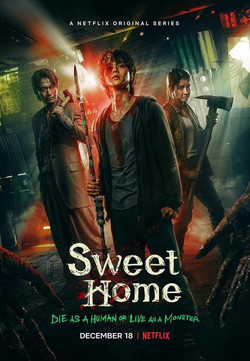 SWEET HOME T1