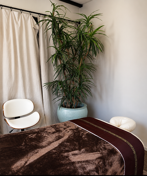 Thanya LUXE 02.png